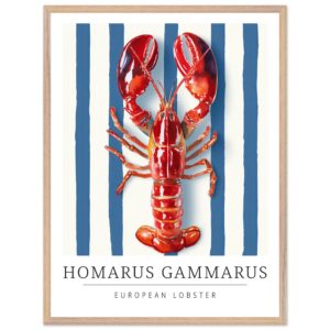European lobster illustration on a blue striped background.