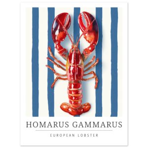 European lobster illustration on a blue striped background.