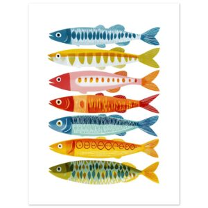 Colorful fish illustrations arranged in horizontal rows on a white background.