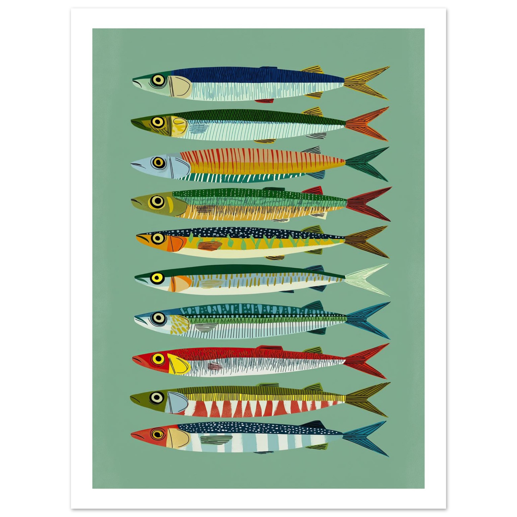 Colorful fish illustrations arranged in rows on a green background.