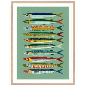 Colorful fish illustrations arranged in a vertical pattern on a green background.