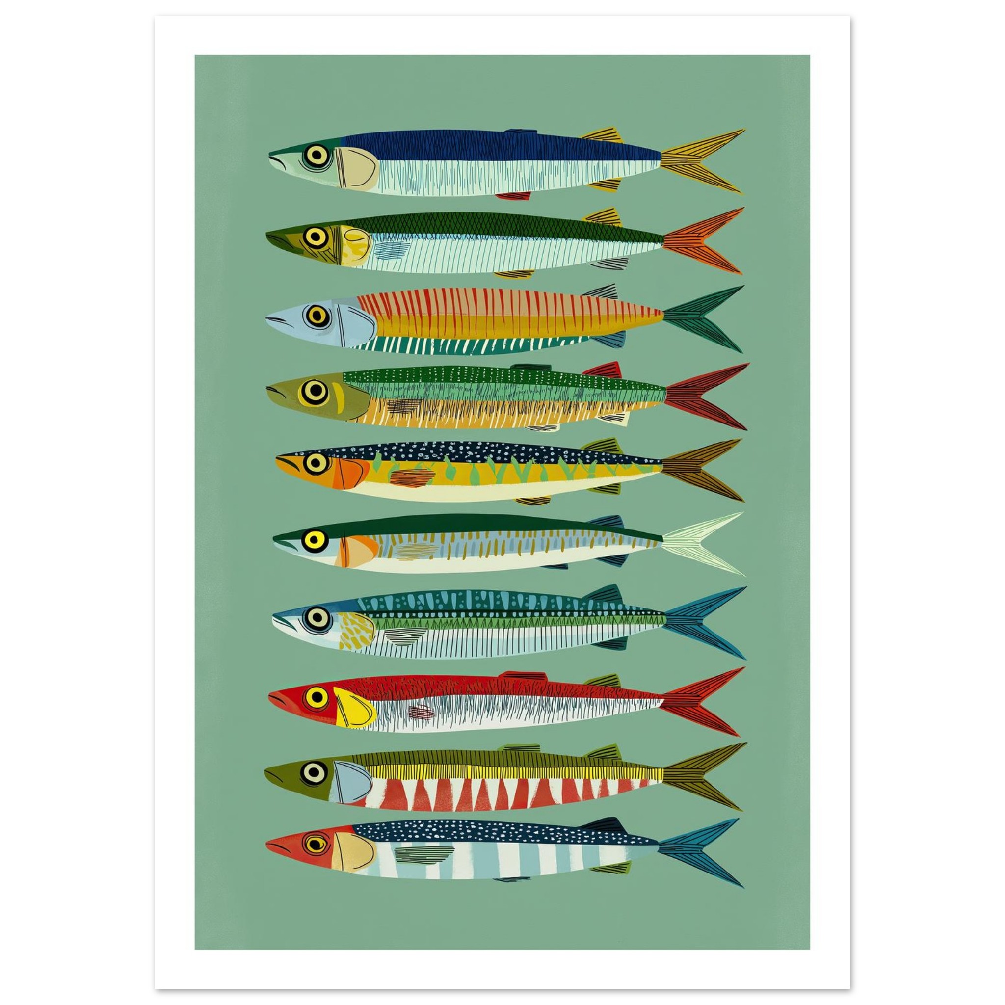 Colorful fish illustrations arranged in rows on a green background.