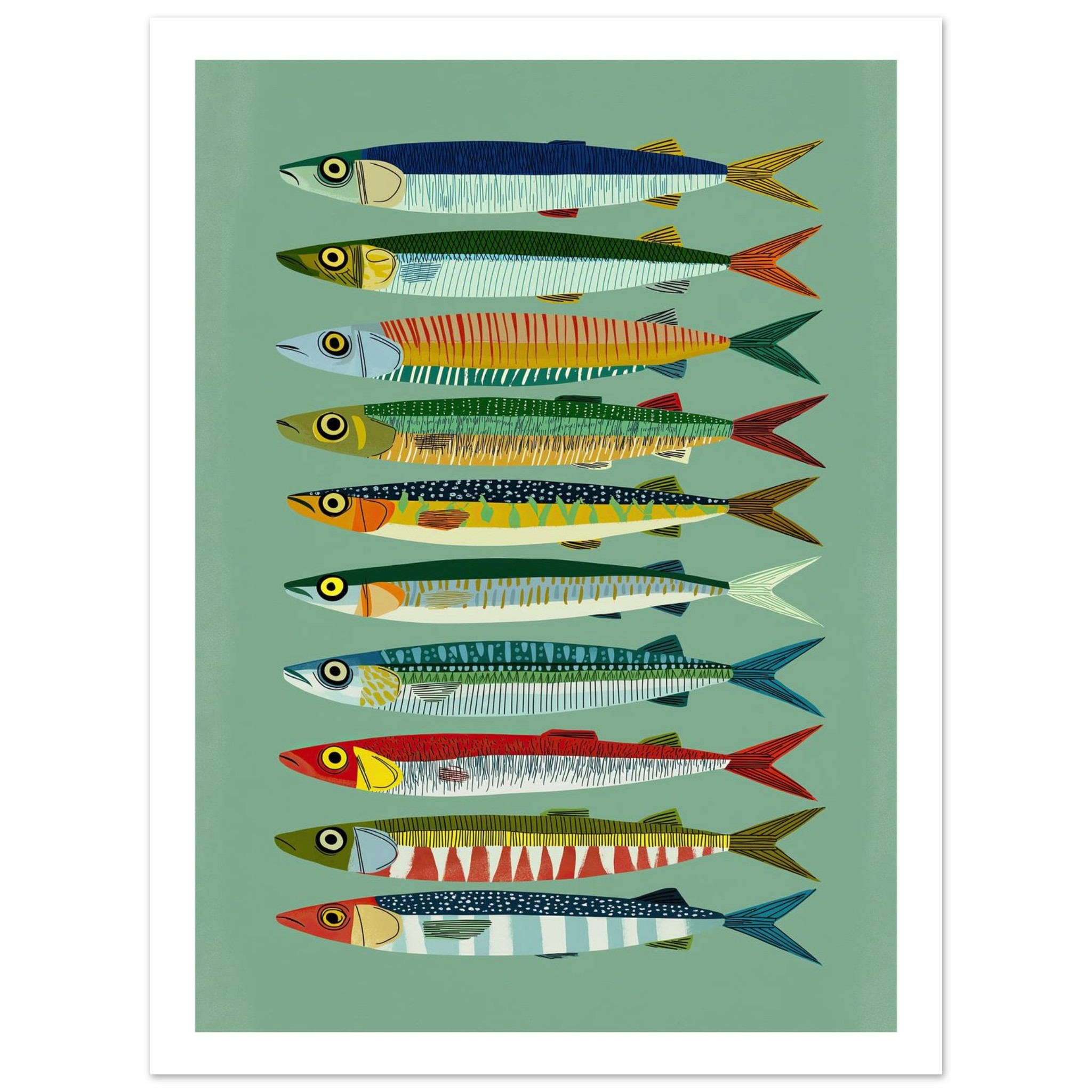Colorful fish illustrations arranged in vertical rows on a green background.