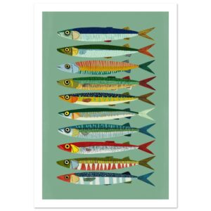 Colorful fish illustrations arranged in a vertical line on a green background.
