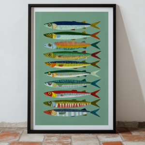 Colorful fish illustrations arranged vertically in a framed poster.