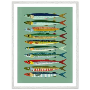 Colorful fish illustrations arranged in vertical rows on a green background.