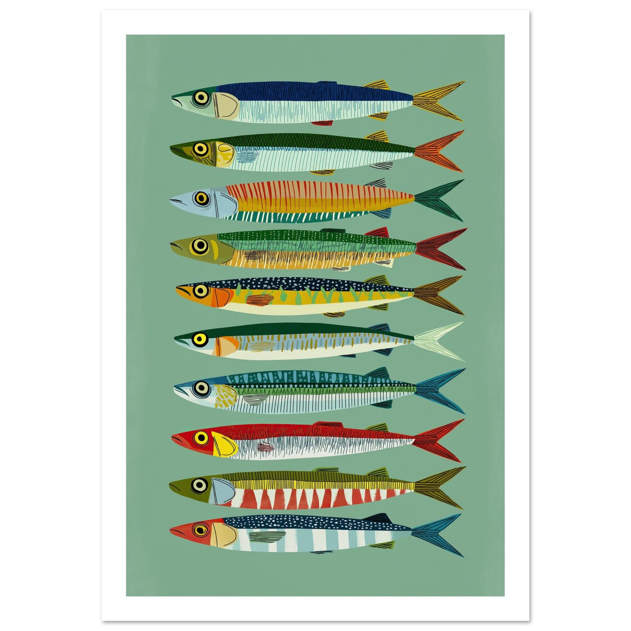 Colorful fish illustrations arranged in a vertical line on a green background.