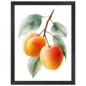 A framed art print featuring three ripe apricots hanging from a branch, surrounded by green leaves, with a soft watercolor style on a white background.