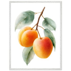 A watercolor illustration of three ripe apricots hanging from a branch, surrounded by green leaves, set against a white background with a light wooden frame.