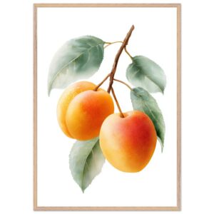 A framed art print featuring three ripe apricots with soft orange and yellow hues, surrounded by green leaves on a white background.