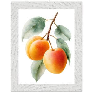 A watercolor art print featuring three ripe apricots on a branch with green leaves, framed in a textured white frame.