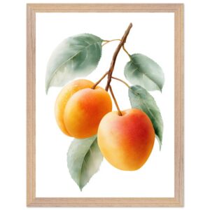 A watercolor art print featuring three ripe apricots with soft orange hues, surrounded by green leaves, framed in a light wood frame against a white background.