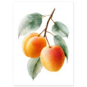 Three ripe apricots with a soft orange hue hang from a slender branch, surrounded by green leaves, all depicted in a delicate watercolor style against a white background.