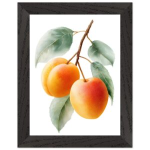 A framed art print featuring three ripe apricots hanging from a branch, surrounded by green leaves, with a soft watercolor style on a white background.