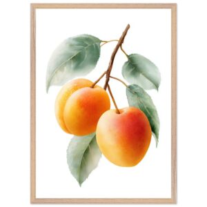 A framed art print featuring three ripe apricots with soft orange and yellow hues, surrounded by green leaves against a white background.
