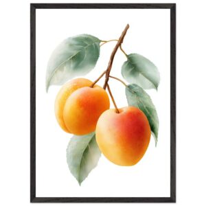 A framed art print featuring three ripe apricots hanging from a branch, surrounded by green leaves, with a soft watercolor style on a white background.