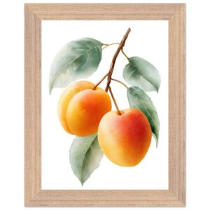 A framed art print featuring three ripe apricots with soft orange and yellow hues, surrounded by green leaves on a white background.