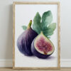 A framed watercolor artwork depicting two figs, one whole and one sliced, with green leaves in the background, set against a neutral wall.