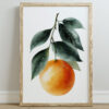 A framed art print featuring a vibrant orange with green leaves, set against a white background, displayed on a light-colored wooden floor.