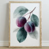 A framed poster print featuring two purple plums with green leaves, illustrated in a watercolor style, displayed against a white background.